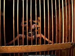 Huge Fake Tit Bitch Is Strapped Into An Electric Chair