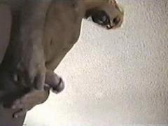 Bond Gay Dandy Warm Wet Blowing Before Buttfuck
