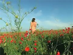 Teen Girl Spreads Her Legs And Shows Off In Field
