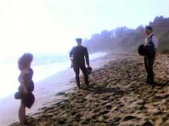 A Vintage Chick With A Hairy Beaver On The Beach Playing